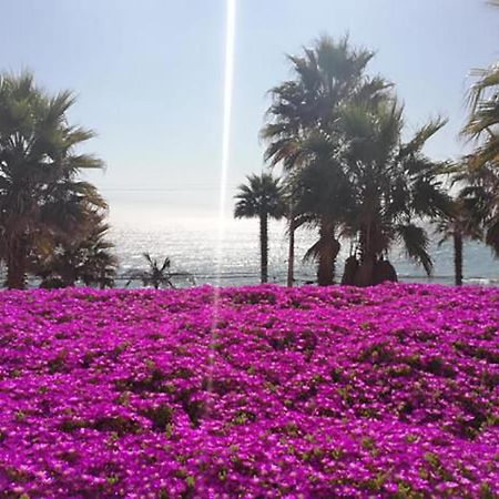 Playa Paraiso Resort كونكون المظهر الخارجي الصورة