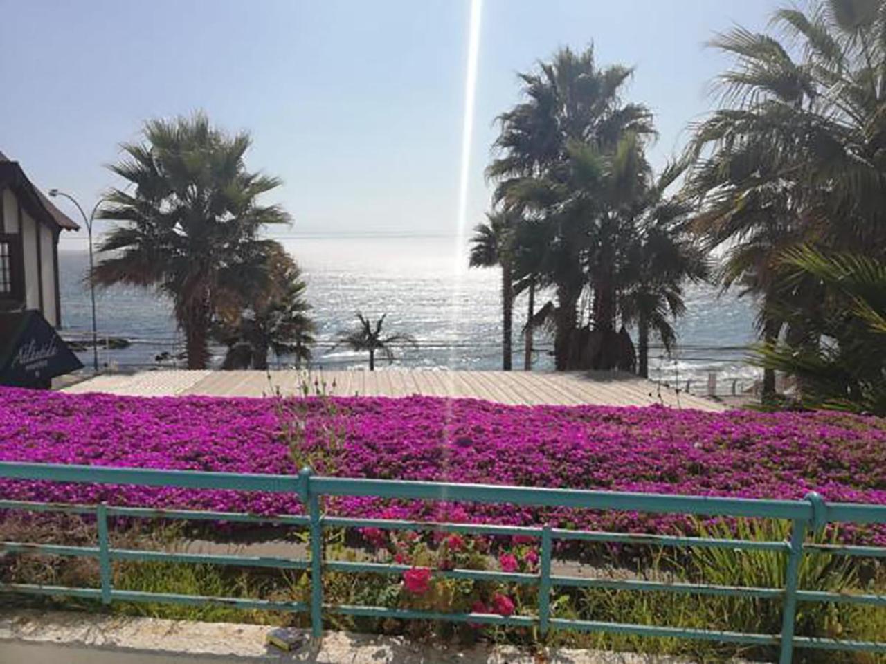 Playa Paraiso Resort كونكون المظهر الخارجي الصورة